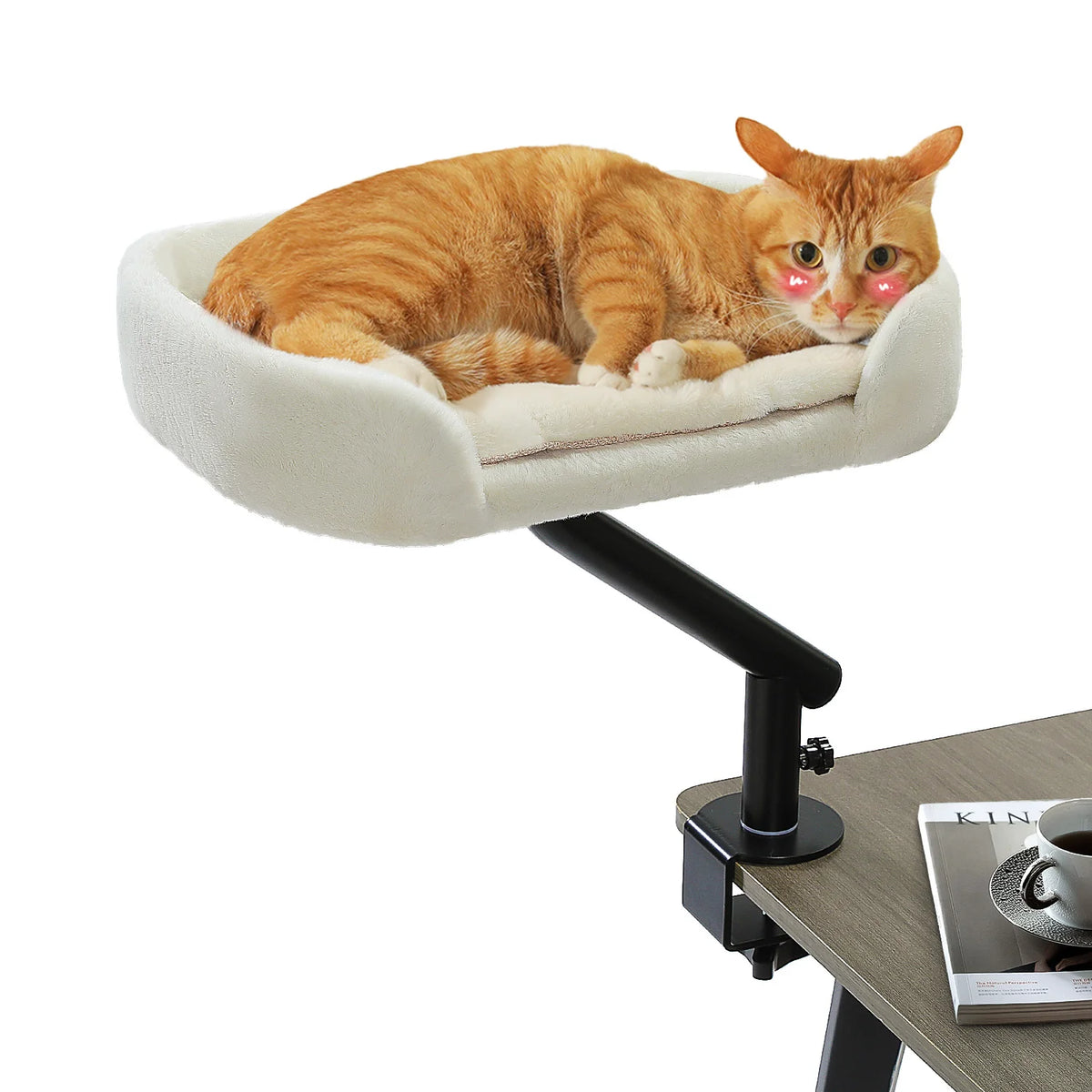 PAWZ Road Rotatable Cat Desk Bed Stand for Indoor Cats