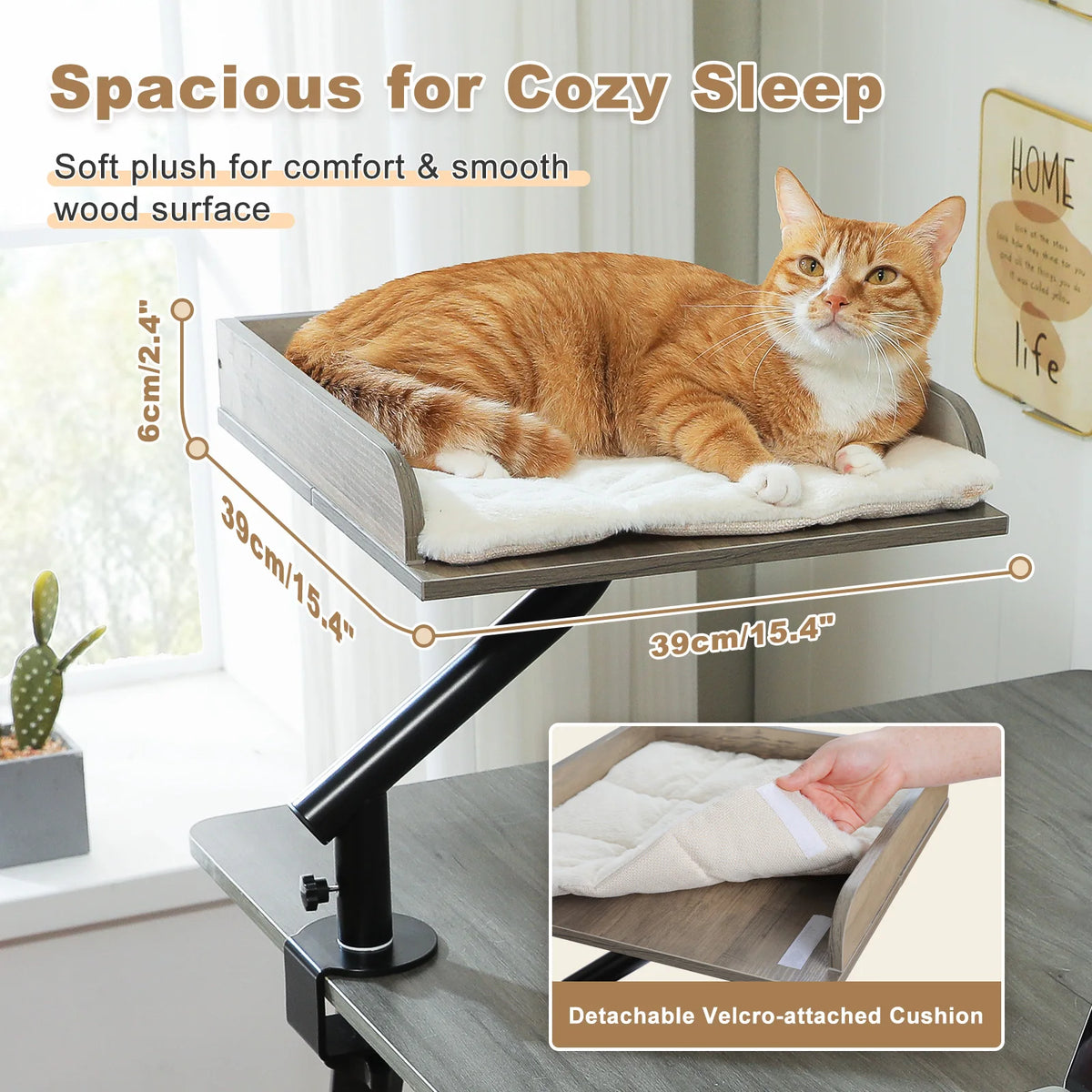 PAWZ Road Rotatable Cat Desk Bed Stand for Indoor Cats