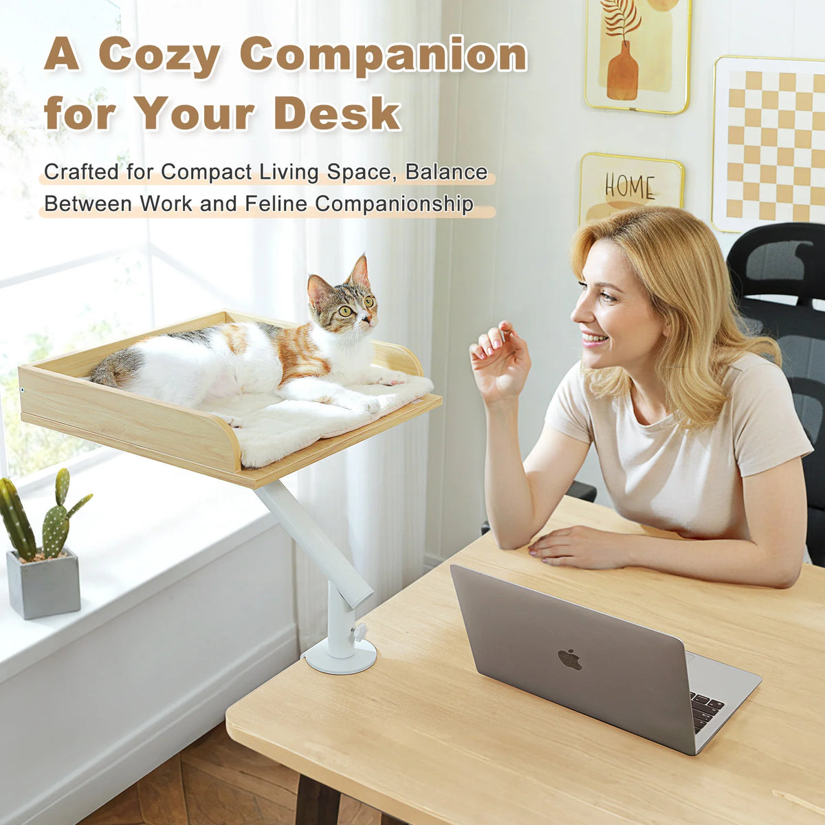 PAWZ Road Rotatable Cat Desk Bed Stand for Indoor Cats