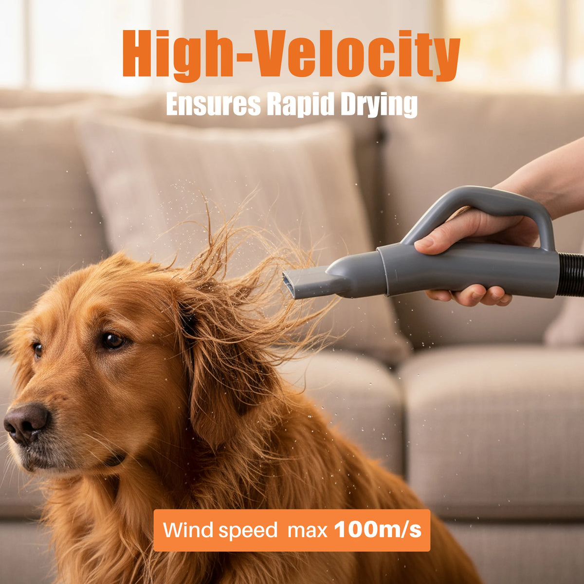 JHK 5-piece Pet Blow Dryer Grooming Vacuum Kit 4 Nozzles 6.5 FT Cord for Low Noise Dog Hair Dryer with Adjustable Cool-Warm-Hot