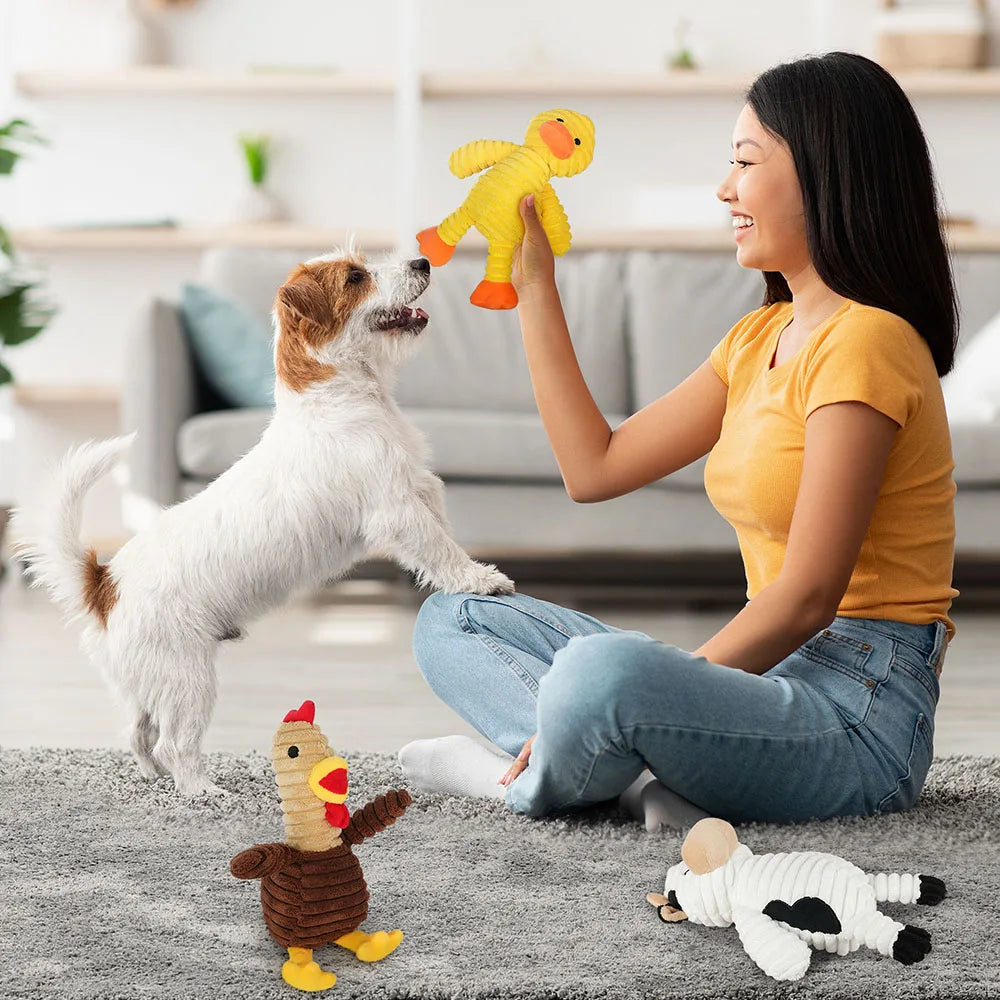 5 Pack Plush Squeaky Dog Toys For Small Medium Large Dogs